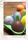 Nærbilde av fargerike egg i grønn eggekartong på trebord.