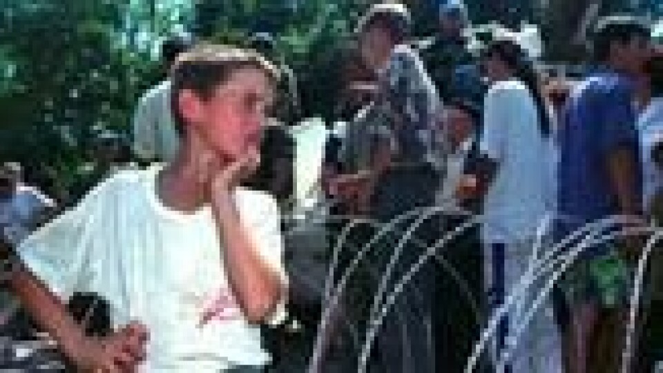 En ung muslimsk gutt ser på mens andre flyktninger ankommer en flyktningleir i Srebrenica 13. juli 1995. På dette tidspunktet var folkemordet i området gang. En ung muslimsk gutt ser på mens andre flyktninger ankommer en flyktningleir i Srebrenica 13. juli 1995. På dette tidspunktet var folkemordet i området gang. Foto: Darko Bandic / AP