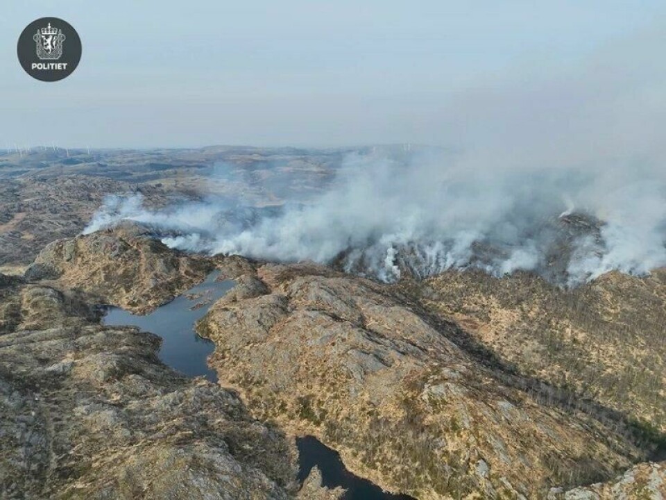 Lyngbrann i området Storavatnet i Bjerkreim tidligere i mars. Lyngbrann i området Storavatnet i Bjerkreim tidligere i mars. Foto: Politiet / Handout / NTB