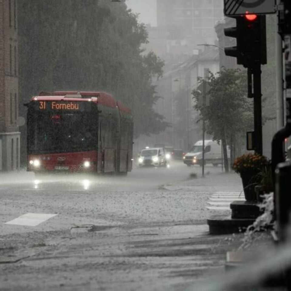 Til uka er det ventet mye regn i Sør-Norge, og særlig på Østlandet. Foto: Emilie Holtet / NTB