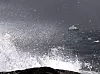 Store bølger slår mot fjæresteinene mens en ferje seiler på en mørk og vindfull Trondheimsfjord.