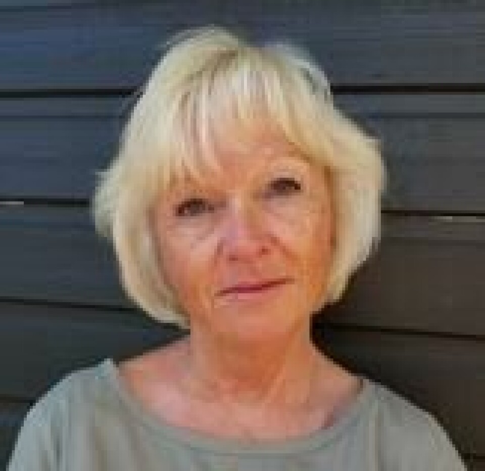 Lise Gro Eriksen, underdirektør i Skatteetaten. Foto: Privat Lise Gro Eriksen, underdirektør i Skatteetaten. Foto: Privat