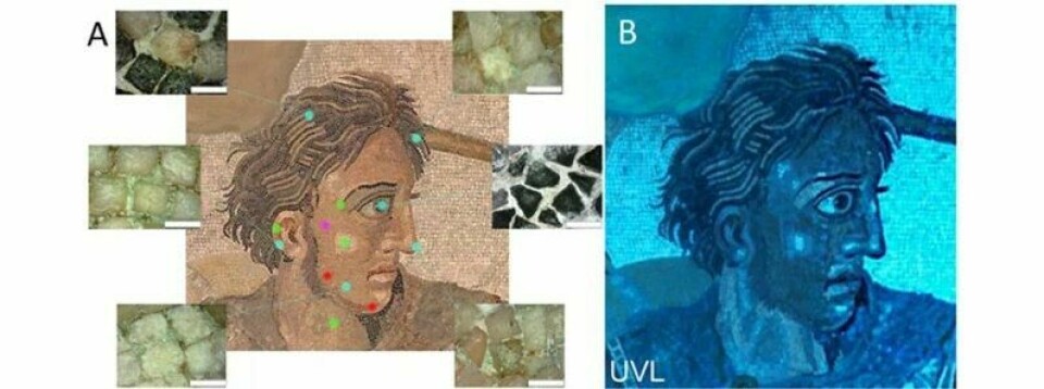 Eksempel på UVL-bilder av detaljer fra mosaikken, for å avdekke forskjellige farger og egenskaper ved steinene. (Illustrasjon: BAllasone et al 2025/CC BY 4.0) Eksempel på UVL-bilder av detaljer fra mosaikken, for å avdekke forskjellige farger og egenskaper ved steinene. (Illustrasjon: BAllasone et al 2025/CC BY 4.0)