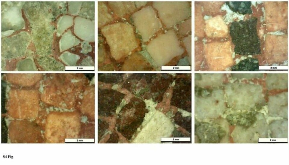 Eksempler på forskjellige farger og egenskaper ved biter i mosaikken, tatt av forskerne. (Illustrasjon: Ballasone et al 2025/CC BY 4.0) Eksempler på forskjellige farger og egenskaper ved biter i mosaikken, tatt av forskerne. (Illustrasjon: Ballasone et al 2025/CC BY 4.0)