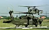 To US UH-60 Black Hawk-helikoptre fra SFOR tar av fra en gresslette ved Brcko i Bosnia.