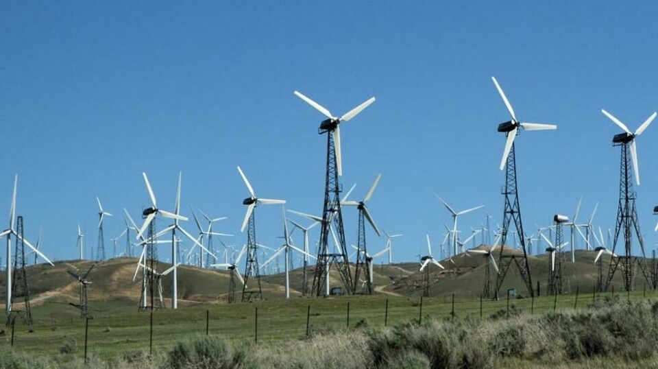 VINDKRAFTNATUR: Det er planer om å seksdoble vindkraftproduksjonen i Norge, fra dagens 4 TWh til 25. Landskapet blir likevel neppe som dette i California.