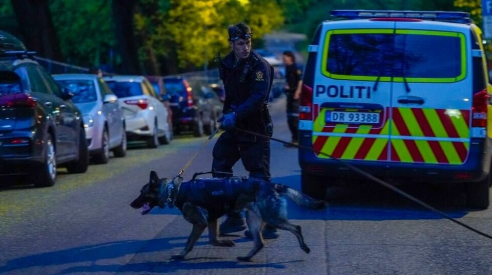 En mann i 40-årene har meldt seg selv til politiet etter at en mann i 50-årene ble knivstukket på Vår frelsers gravlund i Oslo onsdag kveld.