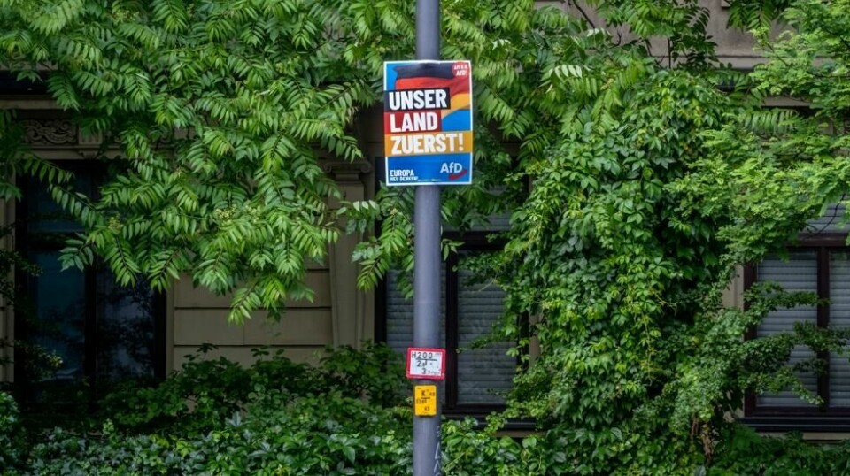 En valgkampplakat for AfD med teksten «Vårt land først» henger på en lyktestolpe i Frankfurt. Foto: Michael Probst / AP / NTB