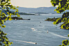 Flere fritidsbåter og seilbåter på solrik dag i Oslofjorden, sett mellom trær i forgrunnen.