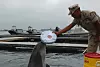 Soldat i uniform trener delfin med hvit skive ved kai