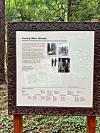Informasjonstavle om Muir Woods står i en tett, grønn skog.
