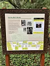Informasjonstavle om Muir Woods omgitt av grønn skog og vegetasjon.