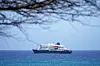 MV Hondius ligger for anker på rolig hav ved Praia, sett gjennom tregrener.