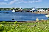 Brygge med småbåter og seilbåt ved stille sjø en solrik sommerdag.