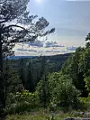 Solrik utsikt fra skogkledd ås mot fjord og åser i det fjerne.