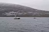 To små båter på rolig sjø foran en skogkledd fjellside i gråvær
