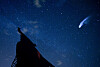 Silhuett av okse ved vei under stjernehimmel med lysende meteorspor.