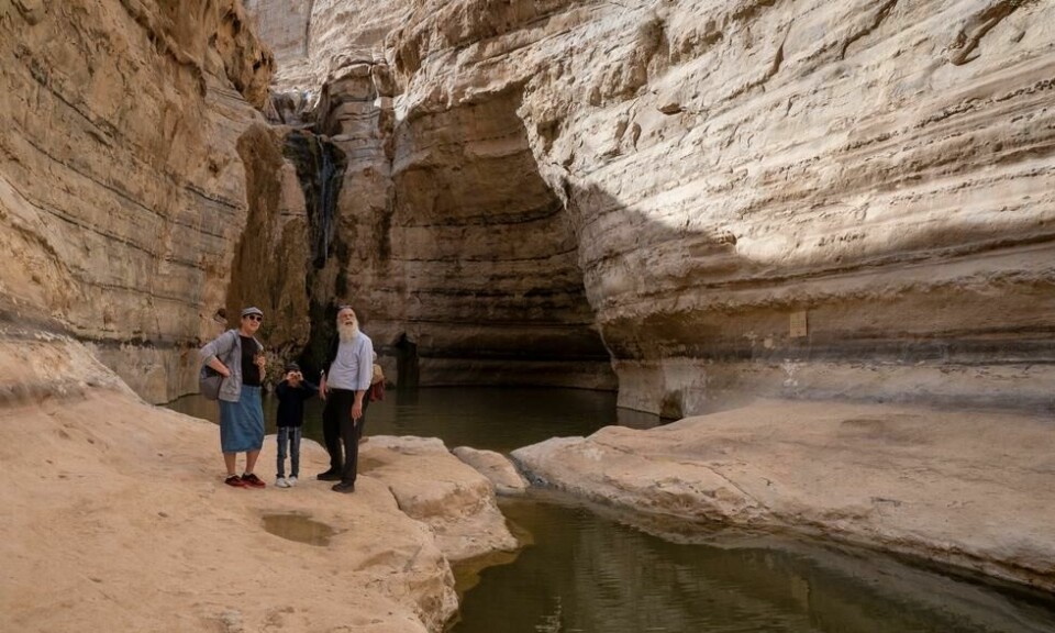 Avdat Nasjonalpark i hjertet av Negev er blant israelernes mest populære utfluktsområder. Foto: Bjørn Moholdt Avdat Nasjonalpark i hjertet av Negev er blant israelernes mest populære utfluktsområder. Foto: Bjørn Moholdt