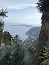 Kystlandskap med bukt, by og grønne palmer sett fra en høyde.