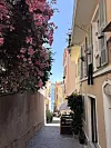 Smalt smug med blomstrende bougainvillea, pastellfargede hus og brostein under klar himmel.