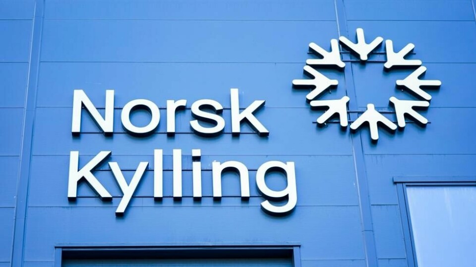Titusenvis av kyllinger kan gå rett i søpla dersom ikke Mattilsynets ansatte kommer på jobb mandag og tirsdag. Foto: Lise Åserud / NTB
