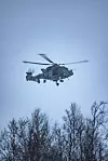 Britisk militærhelikopter i luften over vinterlandskap med nakne trær.