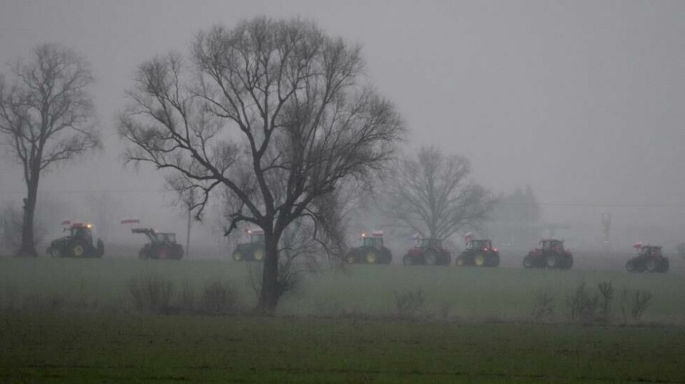 Polske bønder kjører traktorene sine som del av en landsdekkende protest mot EUs manglende tollsatser på ukrainsk import. Arkivfoto: Czarek Sokolowski / AP / NTB