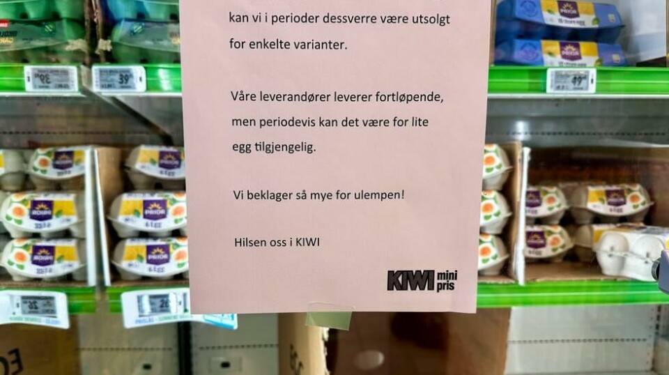 Slike plakater på dagligvarebutikkene har blitt stadig mer vanlig. Foto: André Lorentsen / NTB