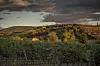 De rullende høydedragene sør i Toscana.