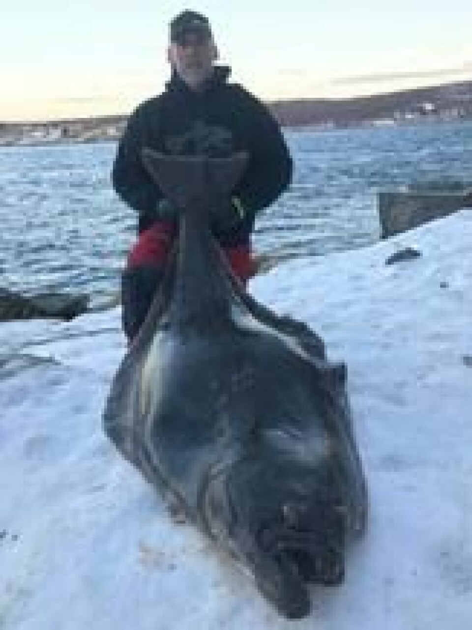 Foto: Guided Fishing Norway. Foto: Guided Fishing Norway.