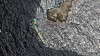 Satellittbilde av tankskipet Caroline Bezengi med mørk oljeflekk som sprer seg i sjøen utenfor Oman.
