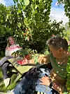 To personer sitter ved et bord i en grønn hage med strikkegensere, planter og en svart veske.