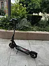 Sort elsparkesykkel står parkert på et fortau ved et bed med busker og trær.