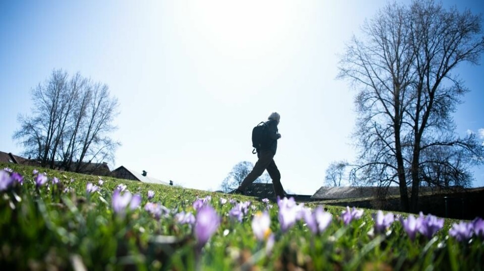 Det har vært sol og varmere vær tirsdag. Bildet er tatt i Oslo tidligere i april. Foto: Annika Byrde / NTB