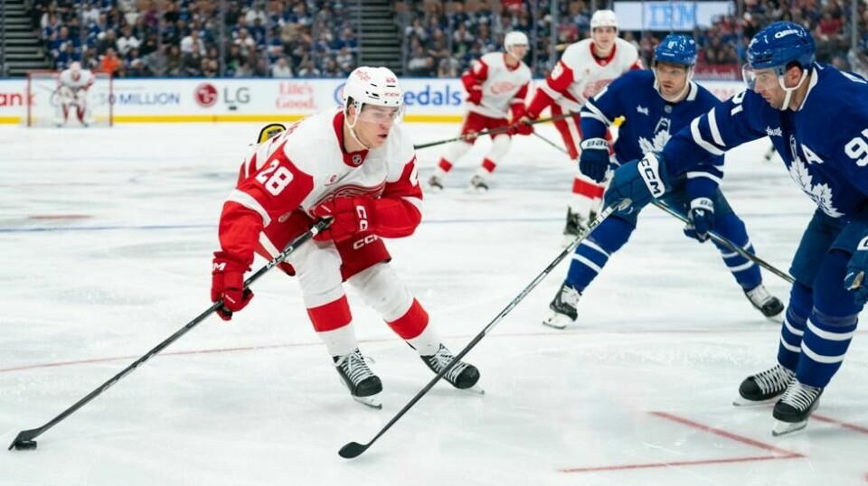 Michael Brandsegg-Nygård i aksjon i treningskamp for Detroit Red Wings mot Toronto Maple Leafs lørdag. Søndag ble det klart at det norske talentet skal spille for svenske Skellefteå i tiden som kommer. Foto: Arlyn McAdorey, Canadian Press via AP / NTB