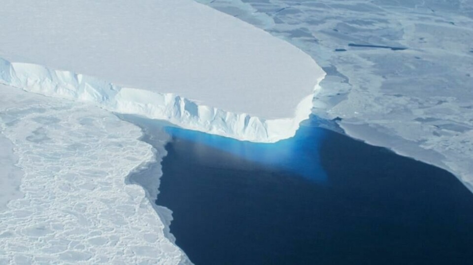 Thwaites-breen i Antarktis. Store isbreer i Vest-Antarktis ser ut til å være fanget i en irreversibel prosess knyttet til global oppvarming. Foto: NASA