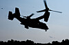 Silhuett av et MV-22 Osprey-fly som tar av over tretopper ved Somerset Airport.