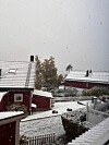 Snø dekker tak, hager og vei mellom røde bolighus i et boligområde.
