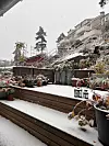Snø på treterrasse, trappetrinn og plantepotter i en skrånende hage ved boliger.