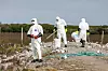 Det jobbes etter at et stort antall fugler døde av fugleinfluensa i Vadsø i 2023.