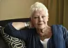 Judi Dench sitter i en stol med armen bak hodet under Toronto filmfestival.