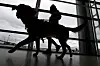 Trener og servicehund i silhuett under øvelse i Terminal C på Newark-flyplassen.