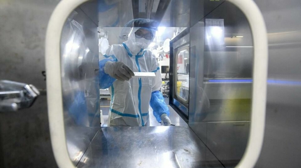 En rekke ansatte ved tre kinesiske laboratorier er arrestert, mistenkt for å ha tuklet med coronavirusprøver.