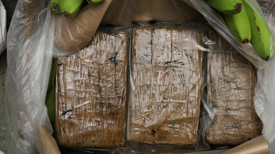 I mars i fjor ble det funnet over 800 kilo kokain i fruktkasser på Bama-lageret i Oslo. Foto: Oslo politidistrikt / NTB
