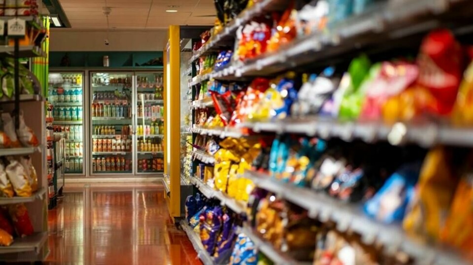 «Den senere tids nyheter om mangel på både egg og melk, samt fremtidig forventet underskudd på poteter, viser med all tydelighet hvor vanskelig det er å forene de uttalte målene med ambisjonen om å produsere akkurat nok til å dekke innenlands behov og etterspørsel – ingen overproduksjon, ingen underproduksjon», skriver Lars Peder Nordbakken, økonom i tankesmien Civita.
