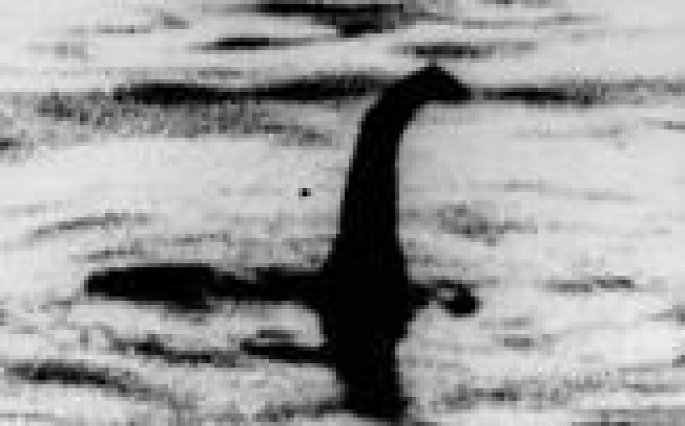 Dette ikoniske bildet av «Nessie» ble tatt i 1934. Senere er det blitt avslørt som bløff. Foto: AP Photo Dette ikoniske bildet av «Nessie» ble tatt i 1934. Senere er det blitt avslørt som bløff. Foto: AP Photo
