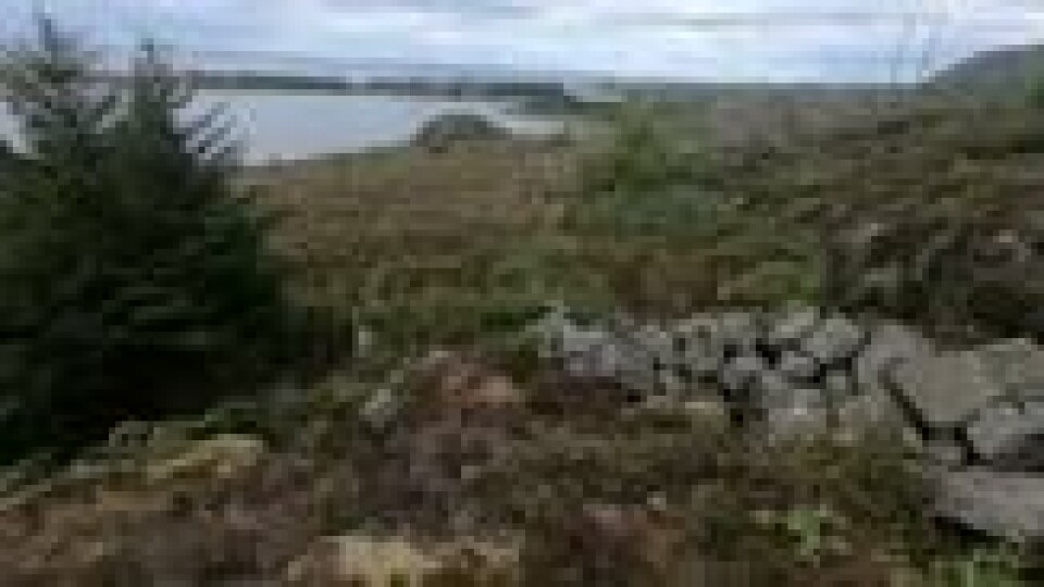 Steingarden og riksgrensa ligger i naturskjønne omgivelser på Midøya. Steingarden og riksgrensa ligger i naturskjønne omgivelser på Midøya. Foto: Elisabeth Bergskaug/ABC Nyheter