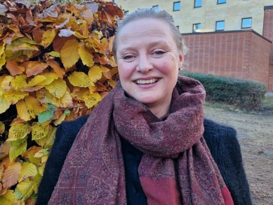 Iselin Frydenlund forsker på Myanmar, også i farlige områder. -Det er viktig at forskere jobber med spørsmål knyttet til demokrati og menneskerettigheter, selv om vi jobber i vanskelig terreng, sier hun. Iselin Frydenlund forsker på Myanmar, også i farlige områder. -Det er viktig at forskere jobber med spørsmål knyttet til demokrati og menneskerettigheter, selv om vi jobber i vanskelig terreng, sier hun. Foto: Nina Kristiansen