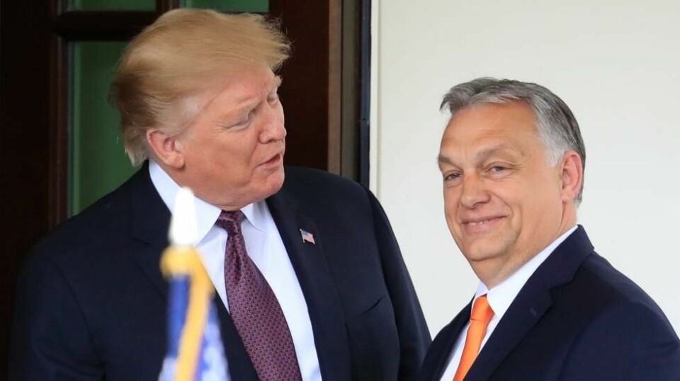 Daværende president Donald Trump tok i 2019 imot Ungarns statsminister Viktor Orban i Det hvite hus. Nå forsikrer Orban at Trump er klar til mekle i Ukraina-krigen umiddelbart etter valget i november. Foto. Manuel Balce Ceneta / AP / NTB