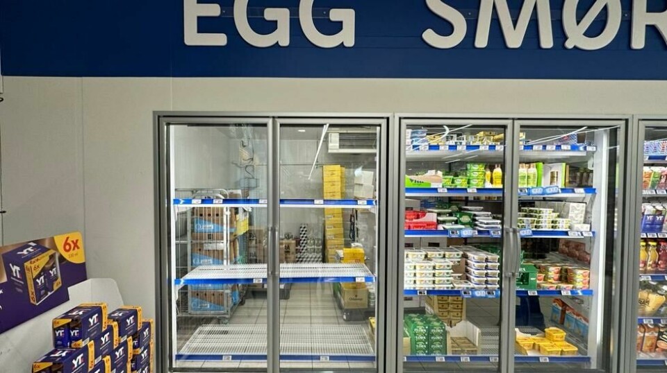 Svært mange dagligvarebutikker er tomme for egg, som denne Rema 1000-forretningen på Holmlia i Oslo. Foto: Cornelius Poppe / NTB